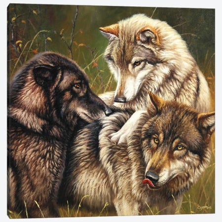 Wolf Pack II Canvas Print #CYT214} by Cynthie Fisher Canvas Wall Art