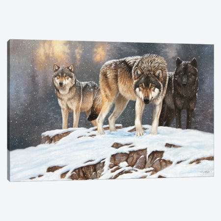 Wolves Canvas Print #CYT215} by Cynthie Fisher Canvas Artwork