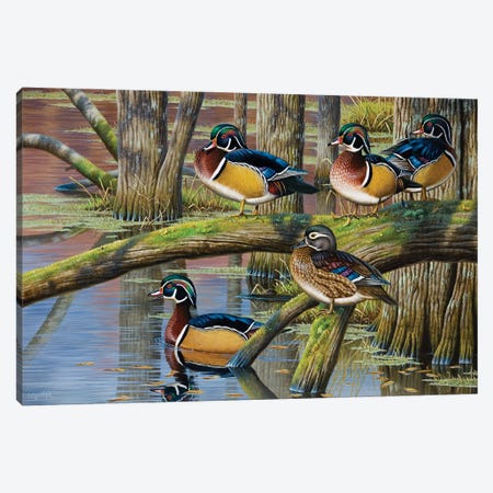 Wood Ducks V Canvas Print #CYT217} by Cynthie Fisher Canvas Artwork