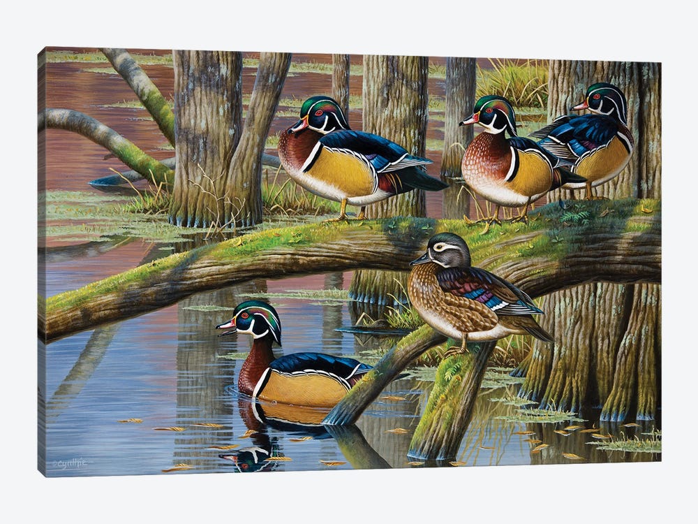 Wood Ducks V by Cynthie Fisher 1-piece Canvas Art