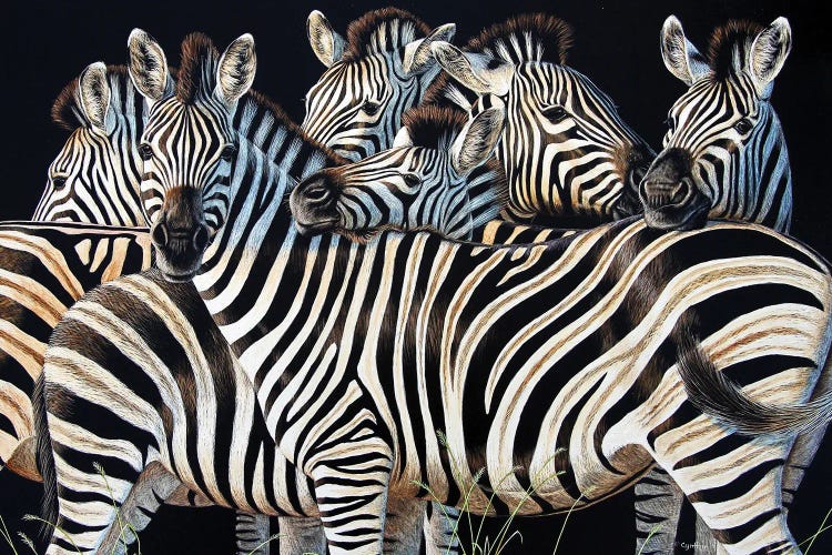 Zebra Huddle by Cynthie Fisher wall art
