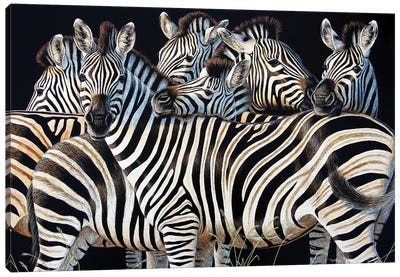 Zebra Huddle Canvas Art Print - Zebra Art