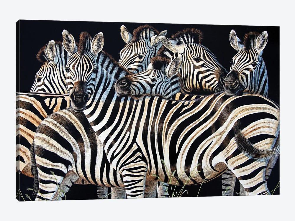 Zebra Huddle by Cynthie Fisher 1-piece Canvas Art