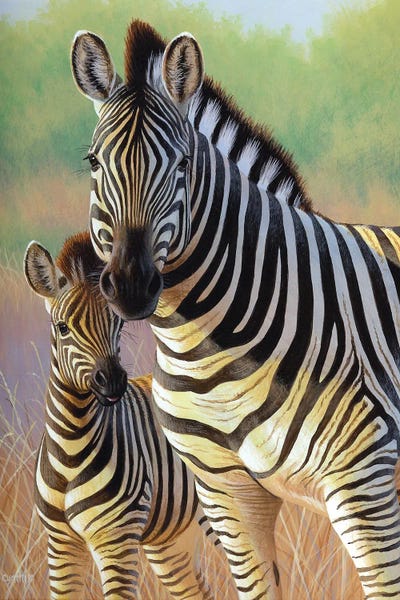 Zebra Mare And Foal by Cynthie Fisher art print