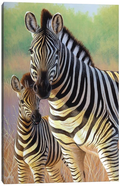Zebra Mare And Foal Canvas Art Print - Zebra Art