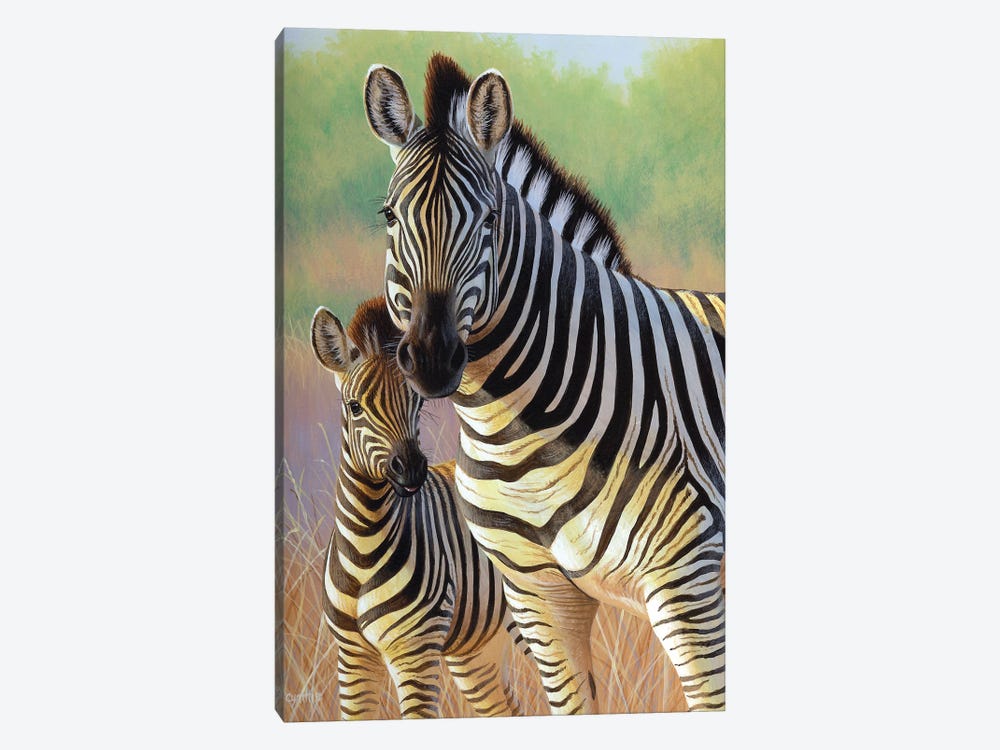 Zebra Mare And Foal by Cynthie Fisher 1-piece Canvas Art Print