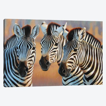 Zebras Canvas Print #CYT227} by Cynthie Fisher Canvas Art Print