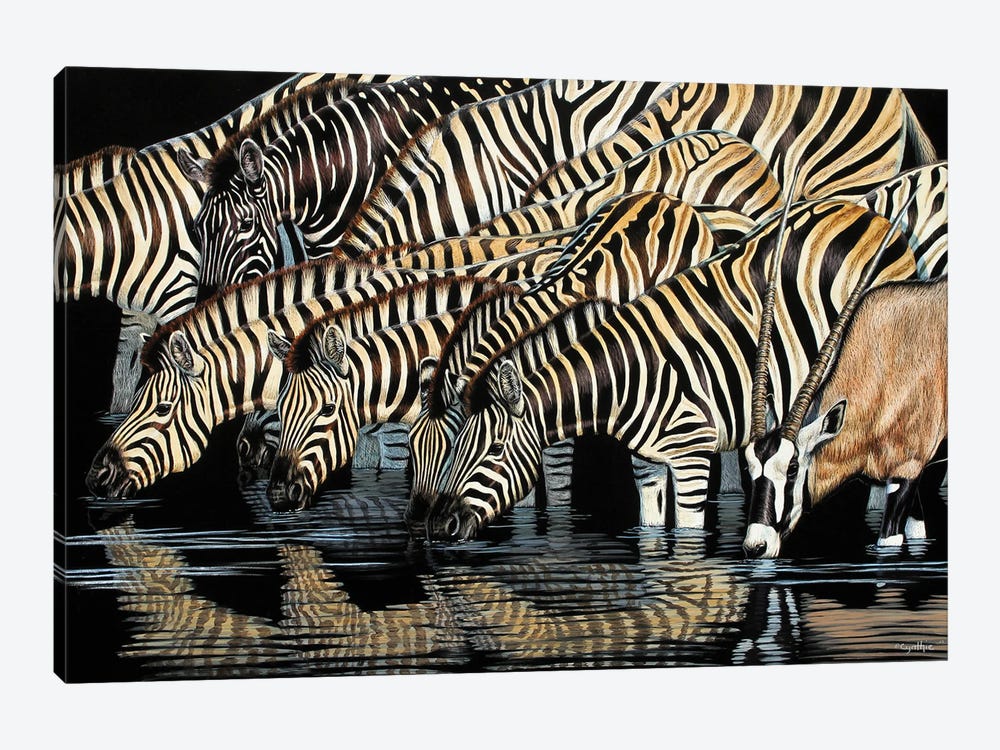 Zebras Drinking by Cynthie Fisher 1-piece Canvas Artwork