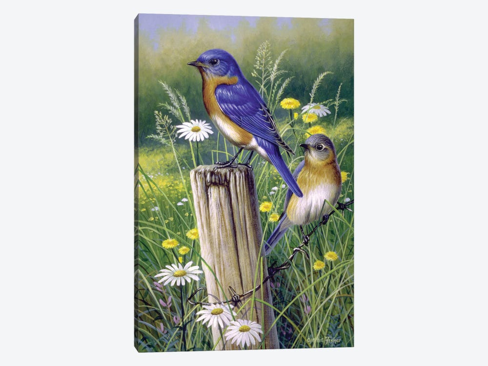 Bluebirds by Cynthie Fisher 1-piece Canvas Artwork