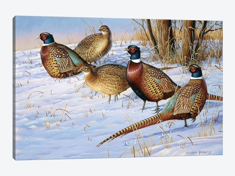 5 Pheasants In Snow by Cynthie Fisher 1-piece Canvas Artwork