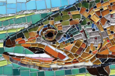 Brown Trout Glass Mosaic by Cynthie Fisher framed canvas print