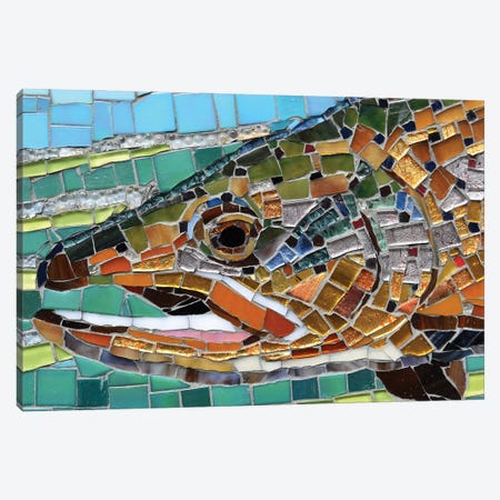 Brown Trout Glass Mosaic Canvas Print #CYT31} by Cynthie Fisher Canvas Print