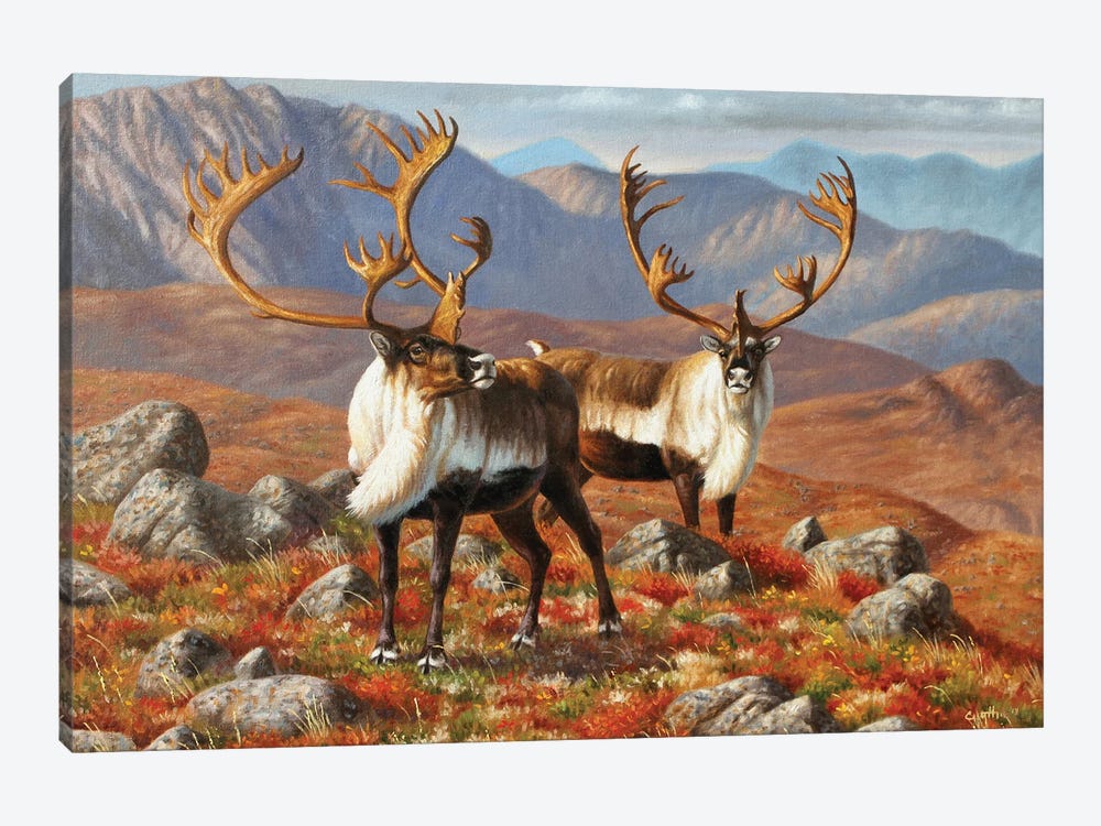 Caribou I by Cynthie Fisher 1-piece Canvas Art Print