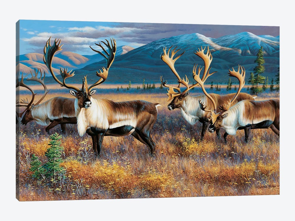 Caribou III by Cynthie Fisher 1-piece Canvas Art