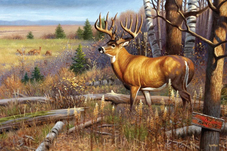 A Cautious Approach by Cynthie Fisher wall art