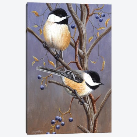 Chickadees With Blk Canvas Print #CYT41} by Cynthie Fisher Canvas Wall Art