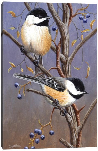 Chickadees With Blk Canvas Art Print - Cynthie Fisher