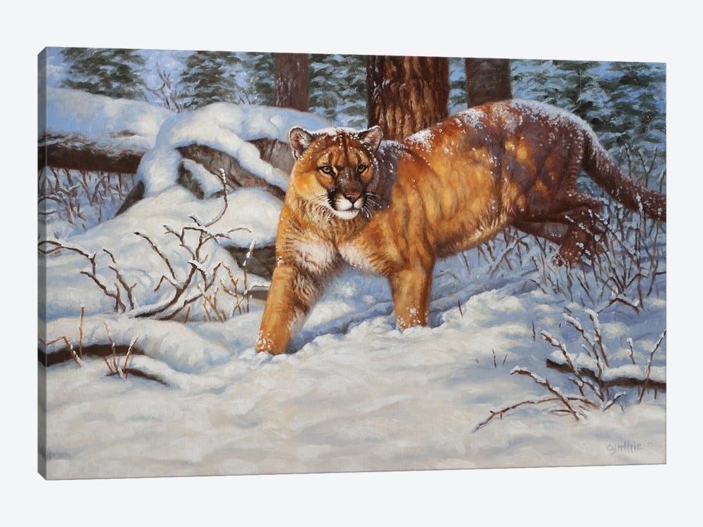 Cougar In Snow by Cynthie Fisher 1-piece Canvas Art