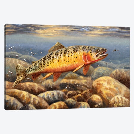 Cutthroat Trout2 Canvas Print #CYT45} by Cynthie Fisher Canvas Art Print
