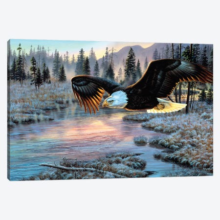 Eagle Canvas Print #CYT54} by Cynthie Fisher Canvas Wall Art