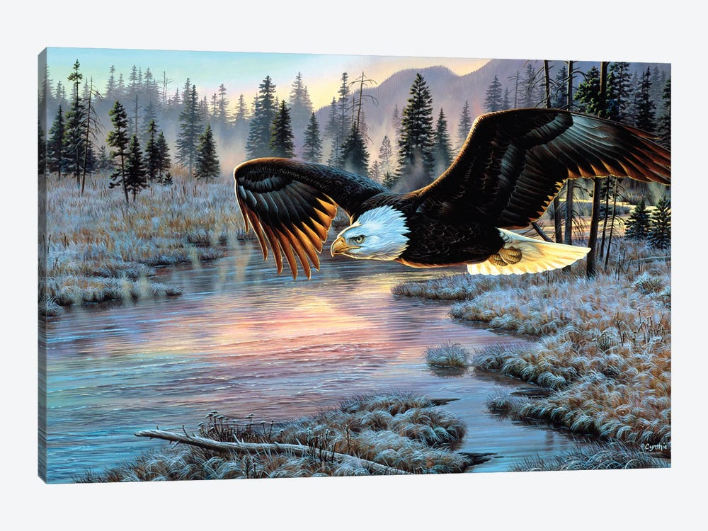 Eagle by Cynthie Fisher 1-piece Art Print