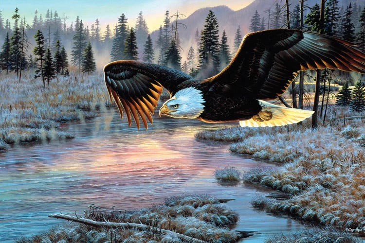 Eagle by Cynthie Fisher wall art