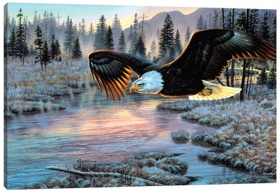 Eagle Canvas Art Print - Cynthie Fisher