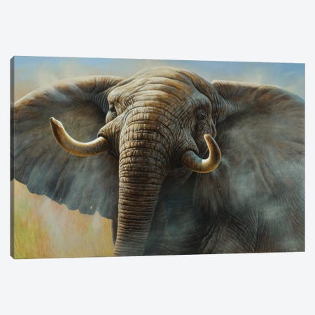 Elephant Canvas Print #CYT56} by Cynthie Fisher Canvas Wall Art