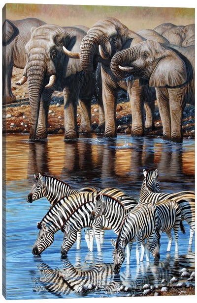 Elephant And Zebras Canvas Art Print
