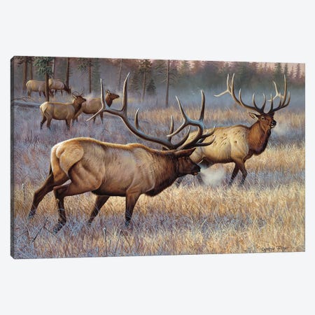 Elk Canvas Print #CYT60} by Cynthie Fisher Canvas Wall Art