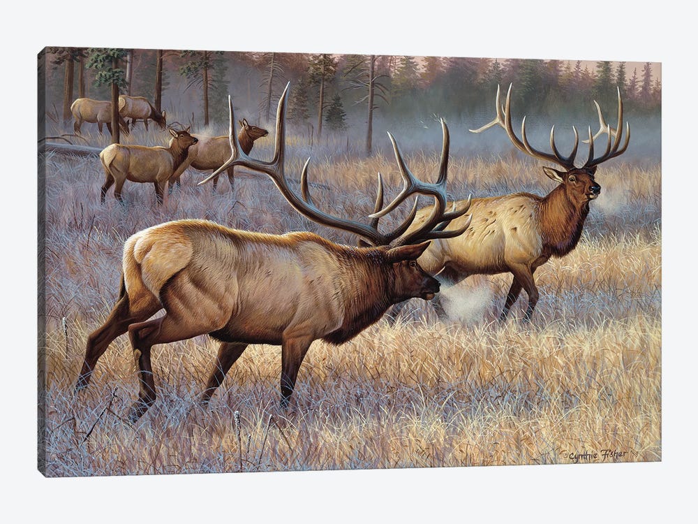 Elk by Cynthie Fisher 1-piece Canvas Artwork