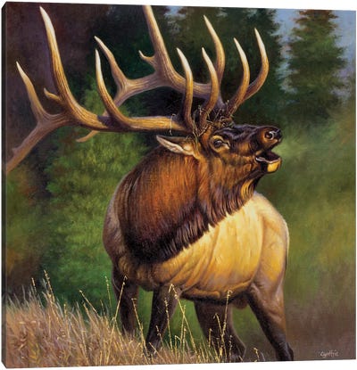 Elk Fisher Canvas Art Print - Deer Art