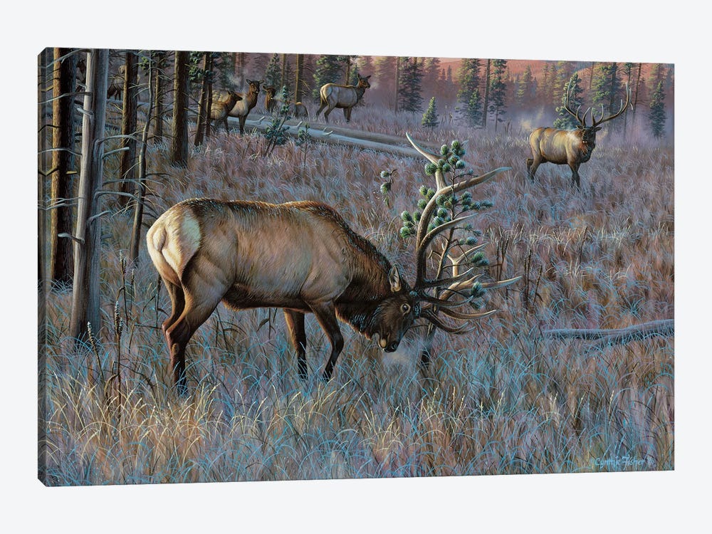Elk Meadow by Cynthie Fisher 1-piece Canvas Art Print