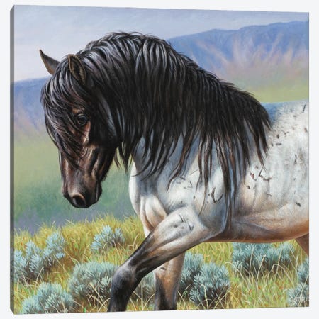 Fixed-Blue Roan Canvas Print #CYT68} by Cynthie Fisher Canvas Wall Art