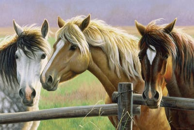 Gossip Fence by Cynthie Fisher canvas print