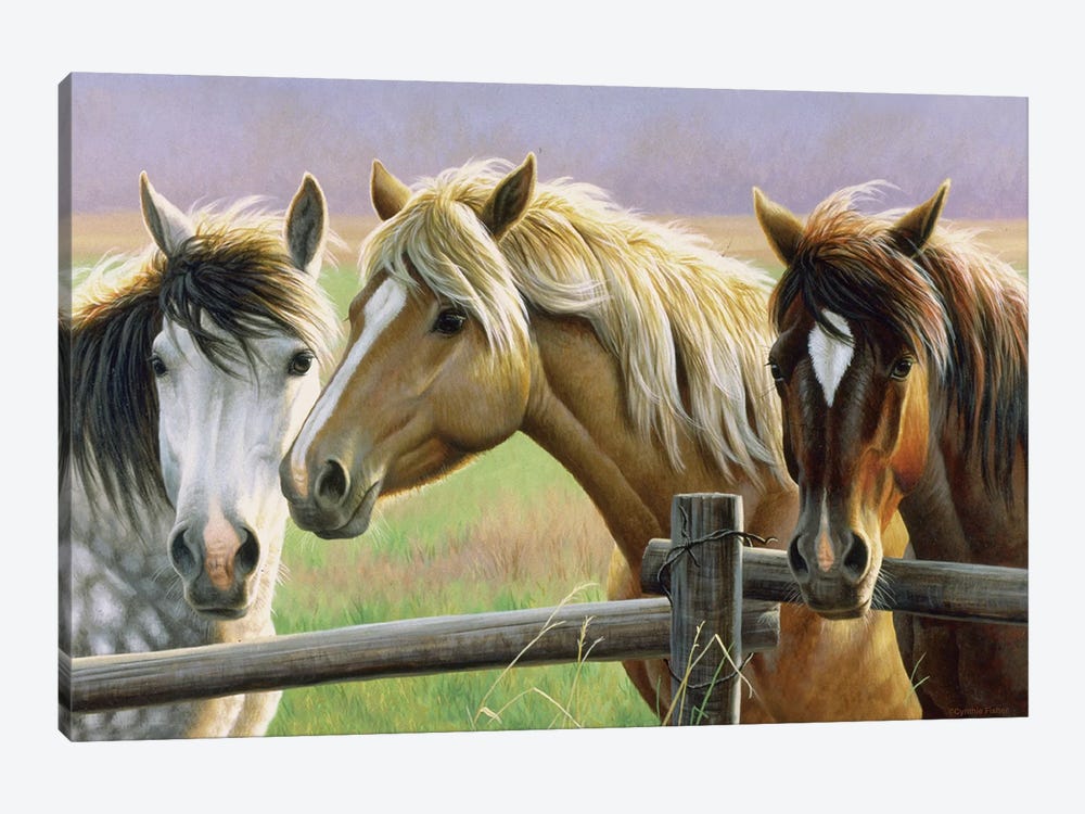 Gossip Fence by Cynthie Fisher 1-piece Canvas Wall Art