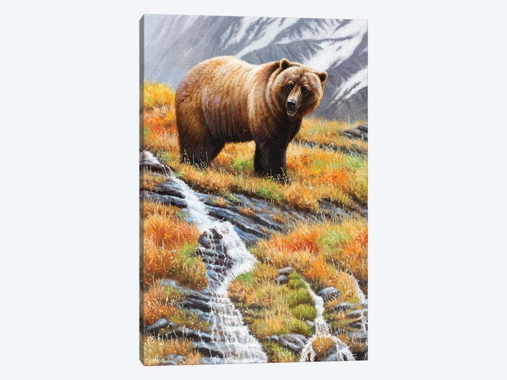 Grizzly At Waterfall by Cynthie Fisher 1-piece Canvas Print