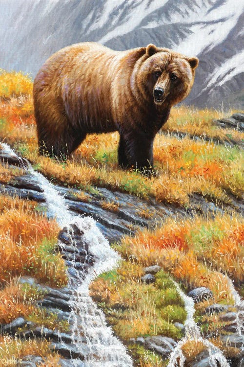 Grizzly At Waterfall