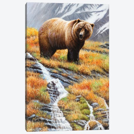 Grizzly At Waterfall Canvas Print #CYT89} by Cynthie Fisher Canvas Art