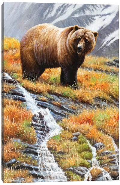 Grizzly At Waterfall Canvas Art Print - Cynthie Fisher