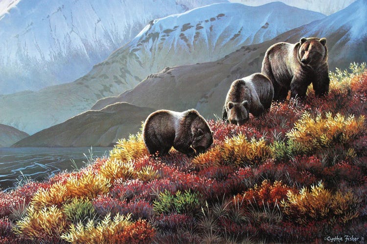 Grizzly Autumn Harvest by Cynthie Fisher wall art