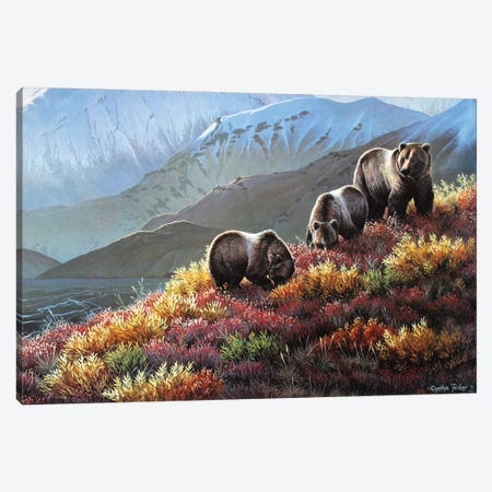Grizzly Autumn Harvest Canvas Print #CYT90} by Cynthie Fisher Canvas Print