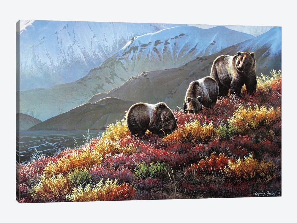 Grizzly Autumn Harvest by Cynthie Fisher 1-piece Canvas Print