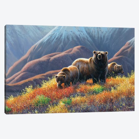 Grizzly Bears Canvas Print #CYT91} by Cynthie Fisher Canvas Print
