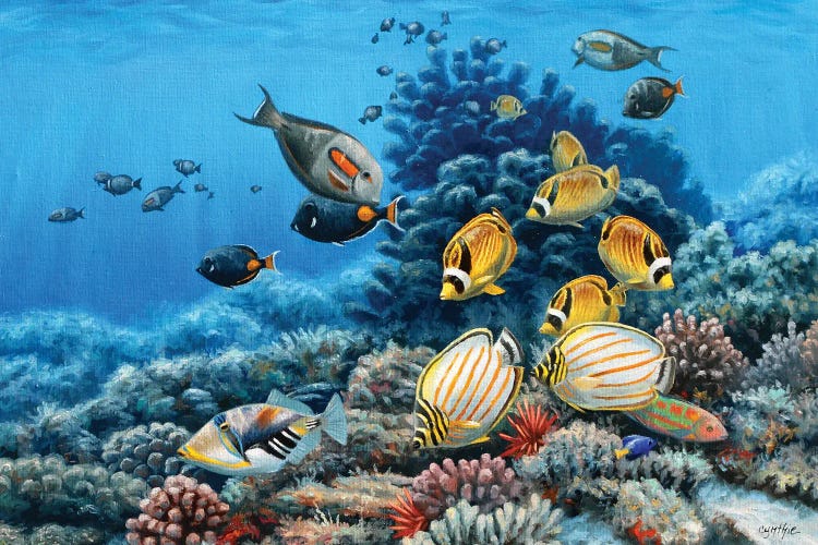 Hawaiian Reef by Cynthie Fisher wall art