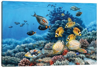 Hawaiian Reef Canvas Art Print - Cynthie Fisher