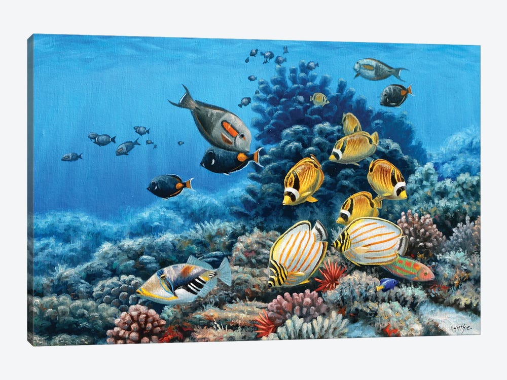Hawaiian Reef by Cynthie Fisher 1-piece Canvas Print
