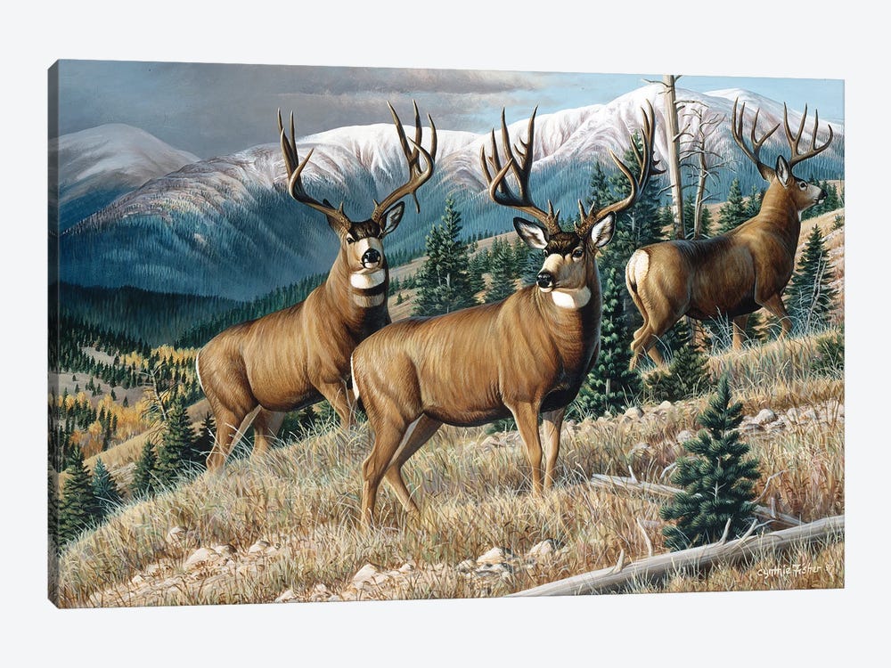 Head Up High Mule Deer by Cynthie Fisher 1-piece Canvas Artwork