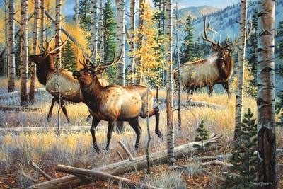 Here Comes The Boss by Cynthie Fisher acrylic art print