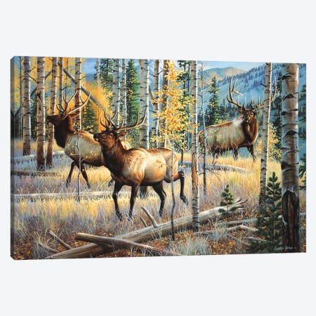 Whitetail Sunrise Retreat Canvas Art by Cynthie Fisher | iCanvas